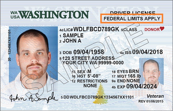 Ca Drivers License Number Format - engchase